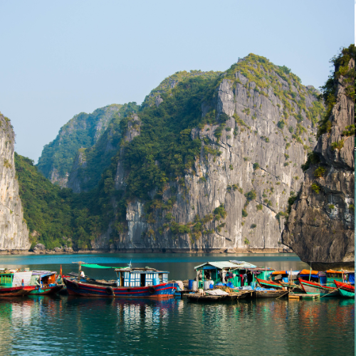 Halong Bay Cruises