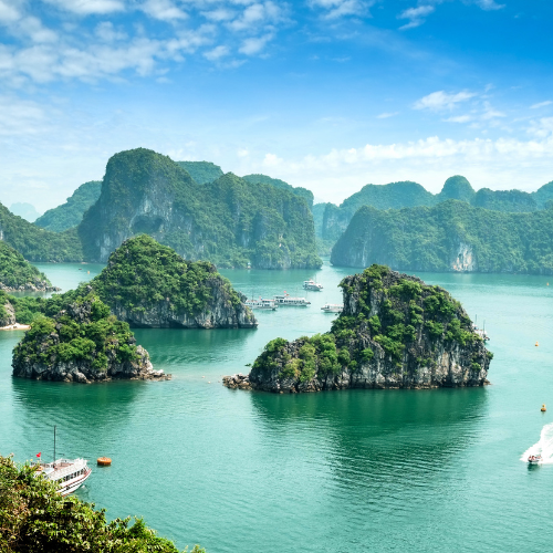 Halong Bay Cruises