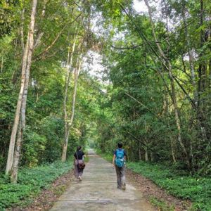 Cat Tien National Park