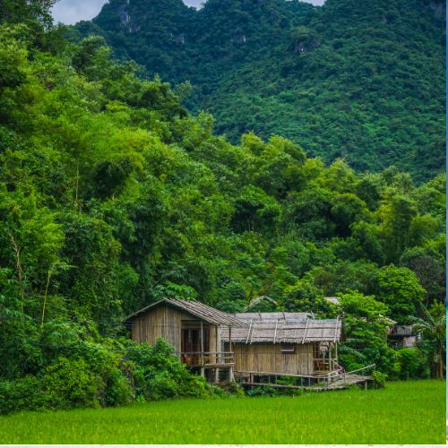 Mai Chau Hoa Binh