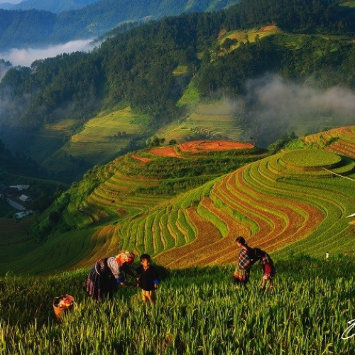 Mai chau Hoa Binh