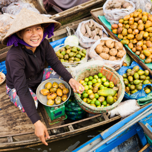 Mekong Delta