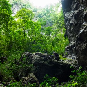 Phong Nha National Park