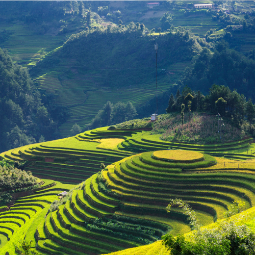 Sapa Vietnam