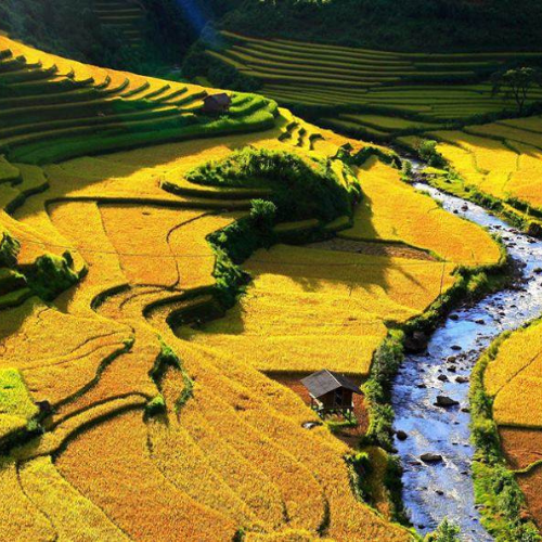 Sapa Trekking 2 Days 1 Night – Overnight in Hotel