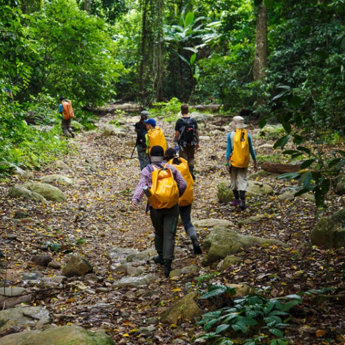 Cuc Phuong National Park