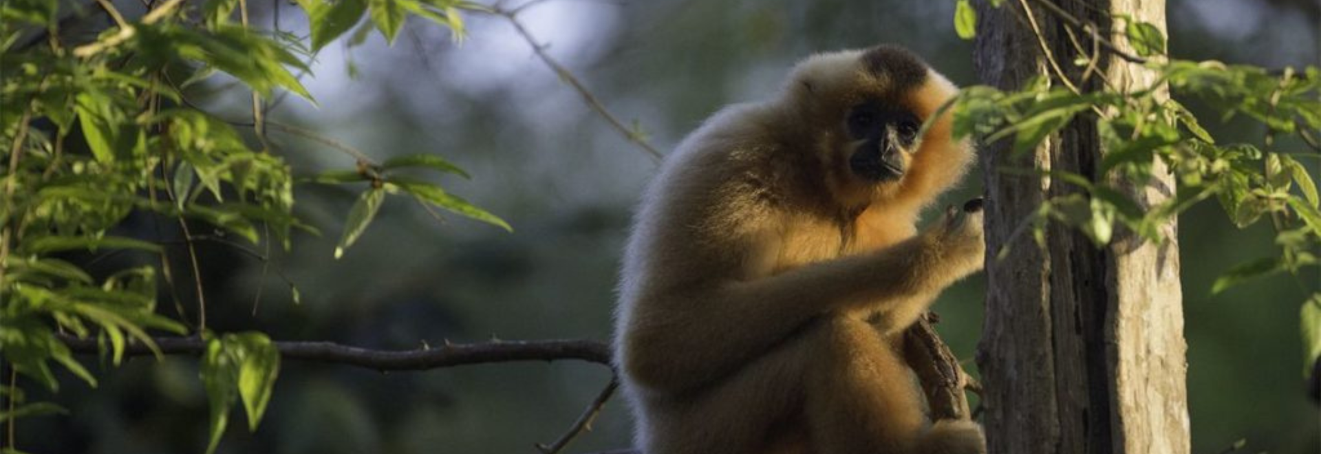 Cat Tien National Park One Day Tour