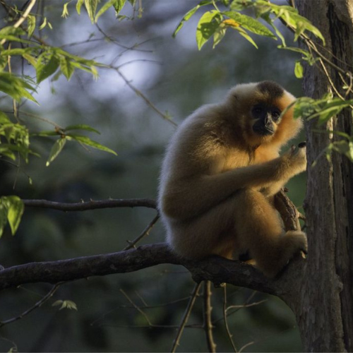 Cat Tien National Park One Day Tour