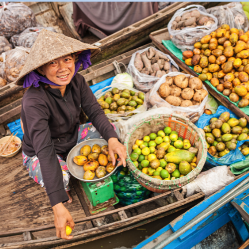 Mekong Delta Vietnam