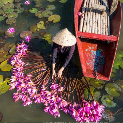 Halong Bay Cruise and Ninh Binh 3 Days Tour Package
